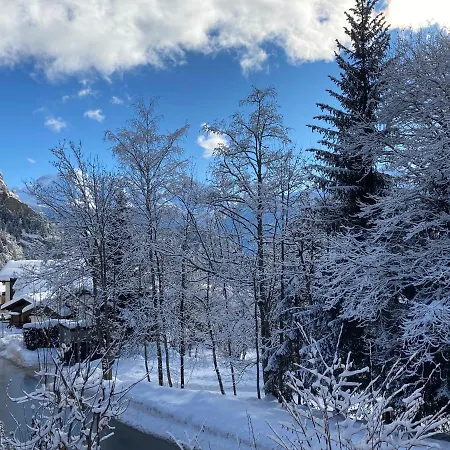 Alter Laerch Chalet *