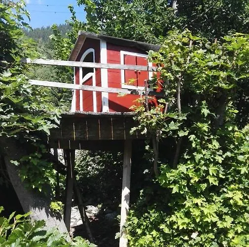 シャレー Alter Laerch *