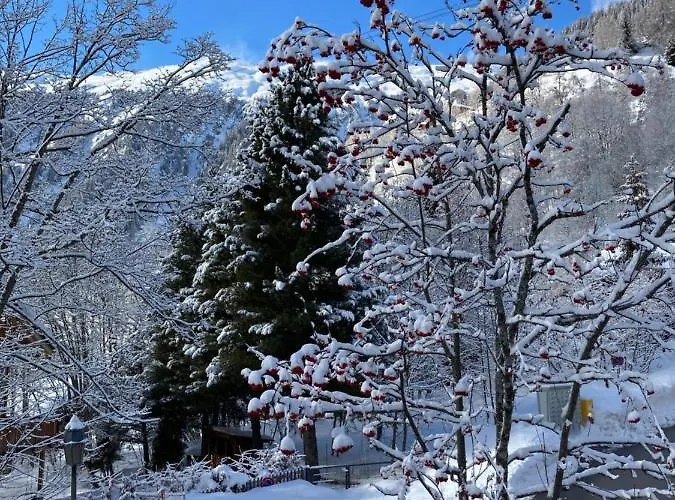 Alter Laerch ナータース